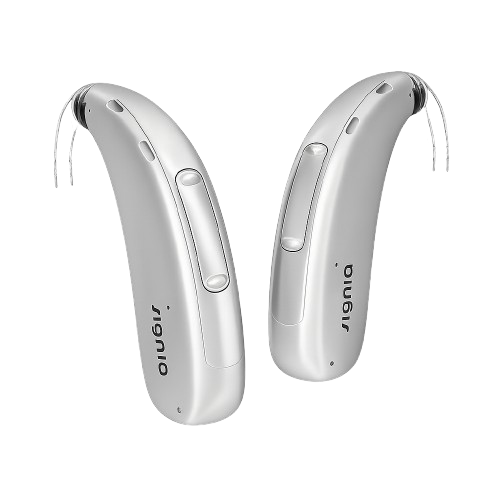 Hearing Aid
